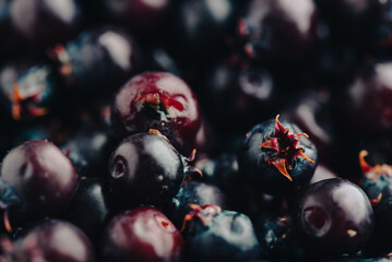 Close Up of Ripe Berries of Shadbush
