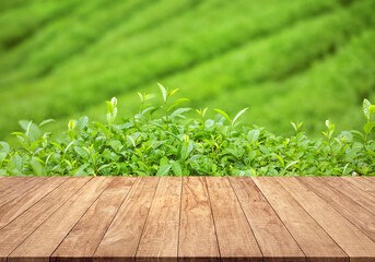 Green tea plantation with empty wooden table top space for product display advertisement background
