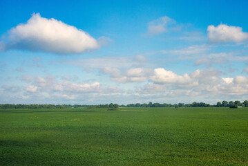 Blue sky with a clouds over green field, Ukraine