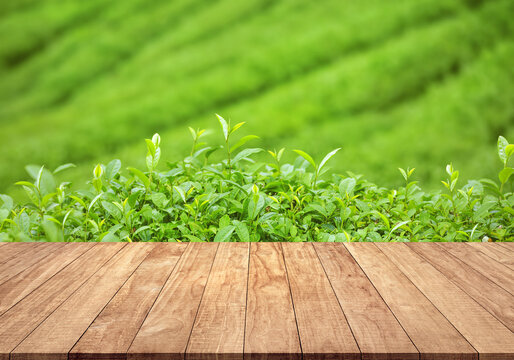 Green store tea table