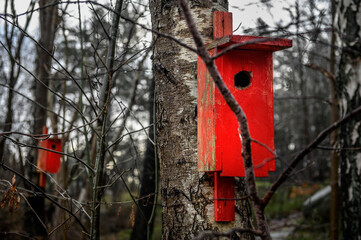 Red bird house in tree