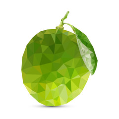 Polygon Lemon vector illustration. Green polygonal fruits isolated on white background.