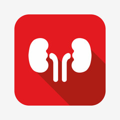 Kidneys icon in flat design style. Urology symbol. Health care, medical concept for website and app design.