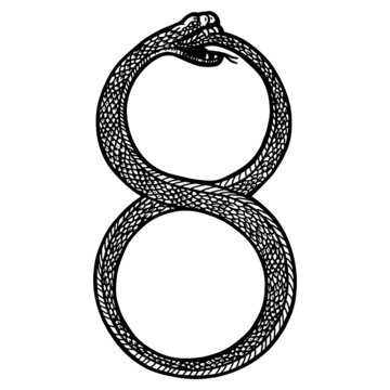 Ouroboros. Infinity sign, dangerous snake. Line art sketch picture.