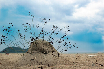 Obraz premium Pile of sand decorated with flowers and grass on the beach.