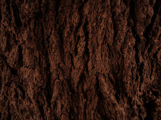 Wooden bark texture. Close Up dark view of Bark on Tree Stump. Old tree, Nature Art