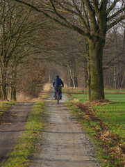 Obraz premium Fahrrad fahren in der Oberlausitzer Heide- und Teichlandschaft