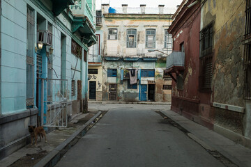 Fototapeta premium Amazing old american car on streets of Havana with colourful buildings in background. Havana, Cuba.