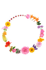Herbal medicine herb and flower abstract wreath with all flowers and herbs also used in seasoning or for food decoration purposes. On white background, top view, copy space.