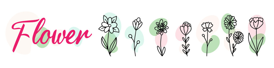 collection forest fern eucalyptus art foliage natural
leaves herbs in line style. Decorative beauty, elegant illustration 
Vector flower Botanical