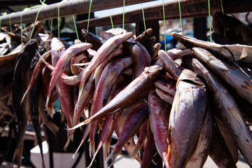 Dry sea fish hangs in a bunch. Snack for beer.