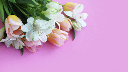 Pink-yellow tulips and white alstroemeria on a pink background are a delicate floral composition. Background for a greeting card.