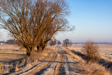 Poranek z przymrozkiem w Dolinie Narwi, Podlasie, Polska