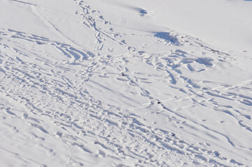 Winter landscape on a sunny day. The snow-covered surface of the ice of the river with a heap of ice floes. Path and road. Traces of people and animals in the snow. View from above.