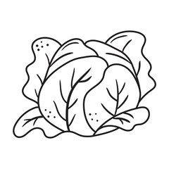 Black outline cabbage icon. Hand drawn drawing. Sketch vegetable illustration. Doodle silhouette of harvest element