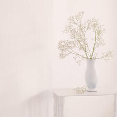 gypsophila in white vase on old wooden shelf on white background