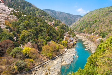 嵐山の春　亀山公園展望台からの眺め