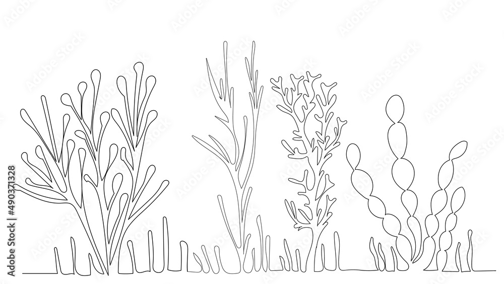 Wall mural algae drawing in one continuous line, isolated vector