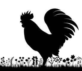rooster in the grass black silhouette isolated vector © zolotons