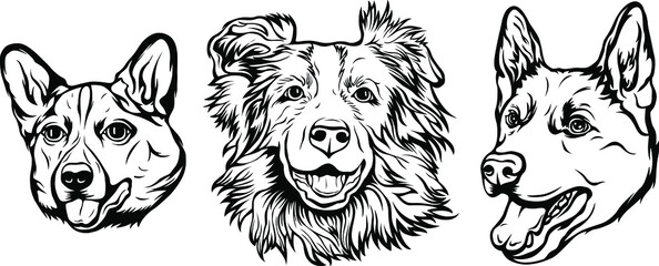 Hand drawn face of dogs. Black and white vector illustration mascot art
