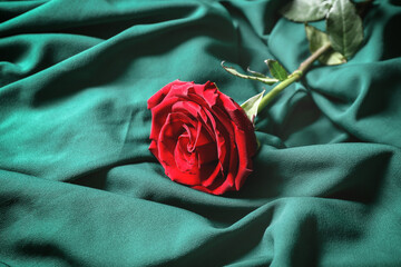 Fresh red rose on green fabric