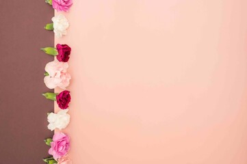 mini carnations in a line separating pink and burgundy flat lay