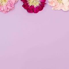 Lavender background with deconstructed flowers