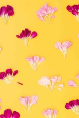 Bright yellow floral flat lay with pink and burgundy petals