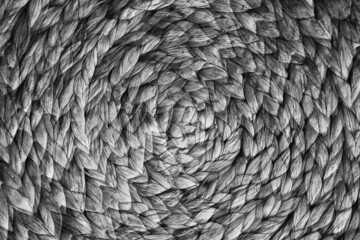 abstract background of flowers and plants, double multiple exposition