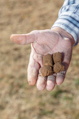 Soil Samples held in a Farmer's Weathered Hand