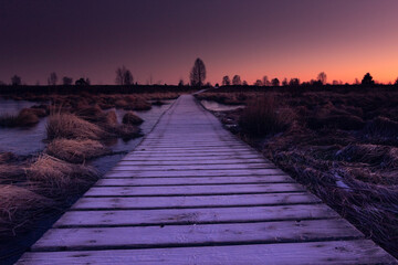 Holzsteg &uuml;ber See Hohes Venn, Moor, Belgien, Eifel