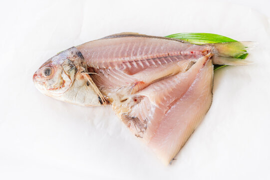 イボダイの干物 の画像 46 件の Stock 写真 ベクターおよびビデオ Adobe Stock イボダイの干物 の画像 46 件の Stock 写真 ベクターおよびビデオ Adobe Stock