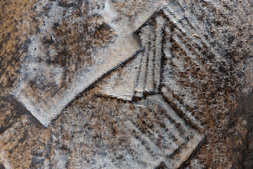 decorative wall finishing putty with fragments of paint, texture, background