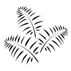 Three palm branches with green leaves, black pattern on a white background