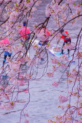 SUP（スタンドアップパドルボード）大岡川