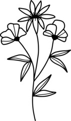 collection forest fern eucalyptus art foliage natural
leaves herbs in line style. Decorative beauty, elegant illustration 
Vector flower Botanical