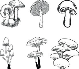 mushroom drawing