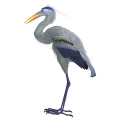 Bennu Bird - The Bennu Heron is an extinct bird that is depicted as a deity and icon in Egyptian mythology.