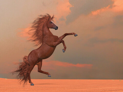 Desert Stallion - A beautiful wild chestnut stallion rears up in a desert area.