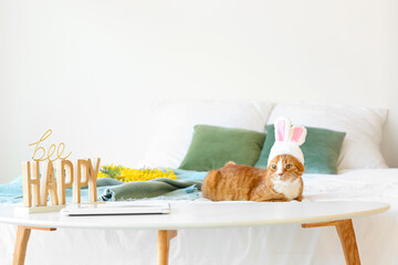 Cute cat with bunny ears lying on table in bedroom. Easter holiday