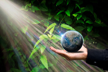 Planeta terra nas mão com raios de sol no contra luz e flare no globo terrestre. Fundo desfocado com textura de folhagem. © Hermes Bezerra 