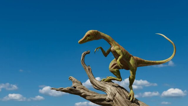 Compsognathus longipes, tiny dinosaur species from the Late Jurassic period, 4k