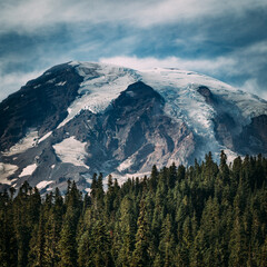 Mt Rainier National Park, Washington, USA.
