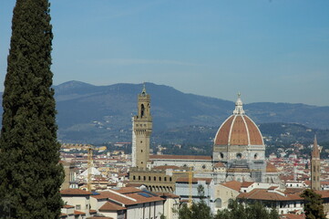 Dall cipresso di Vila Bardini  ai monumenti di Firenze in unaica immagine.