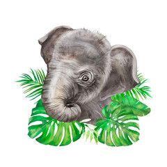 Watercolor illustration of a small elephant, African animal, wild animal, naturalistic image of an elephant, elephant with leaves, zoo animal