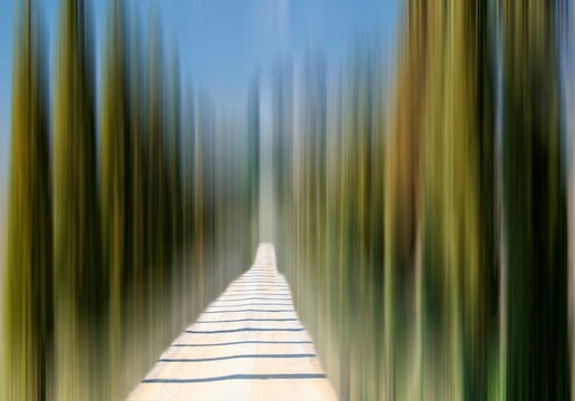 Motion Blur in a Narrow Cypress Alley in Tuscany, Italy.