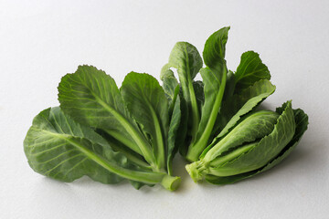 Freshly harvested cibes grass on a white background . A type of cabbage sprout used for cooking in Turkish cuisine .
