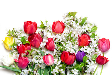 Tulips and branches of cherry blossoms on a white background.Floral background