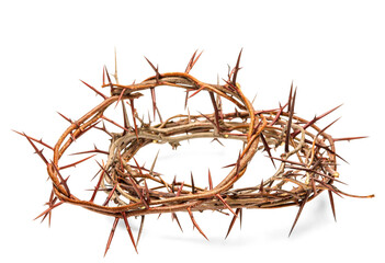 Crowns of thorns on white background
