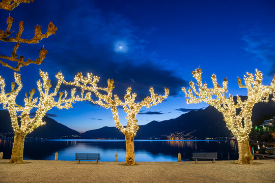 Illuminated Bare Trees on Alpine lake Maggiore with Mountain and Moon Light in Dusk in Ascona, Switzerland.
